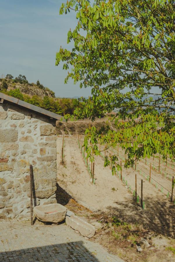 The Farmhouse I - Uma Quinta Deslumbrante Villa Felgueiras Kültér fotó